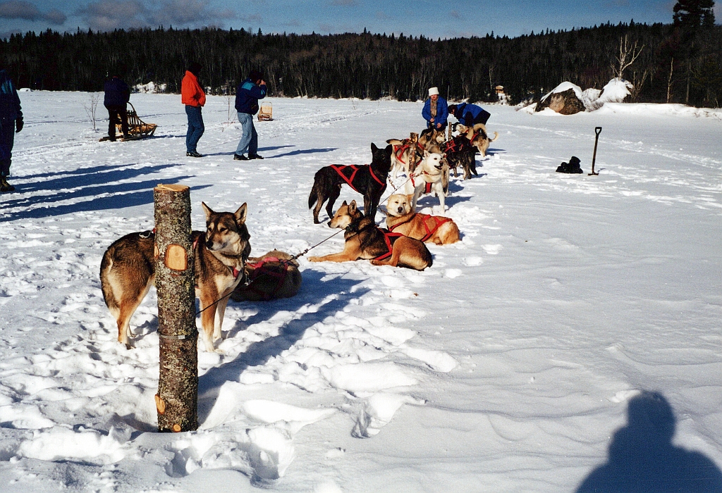 2001 - Canada 16.jpg